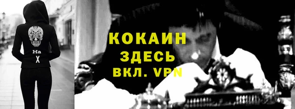 шишки Снежинск
